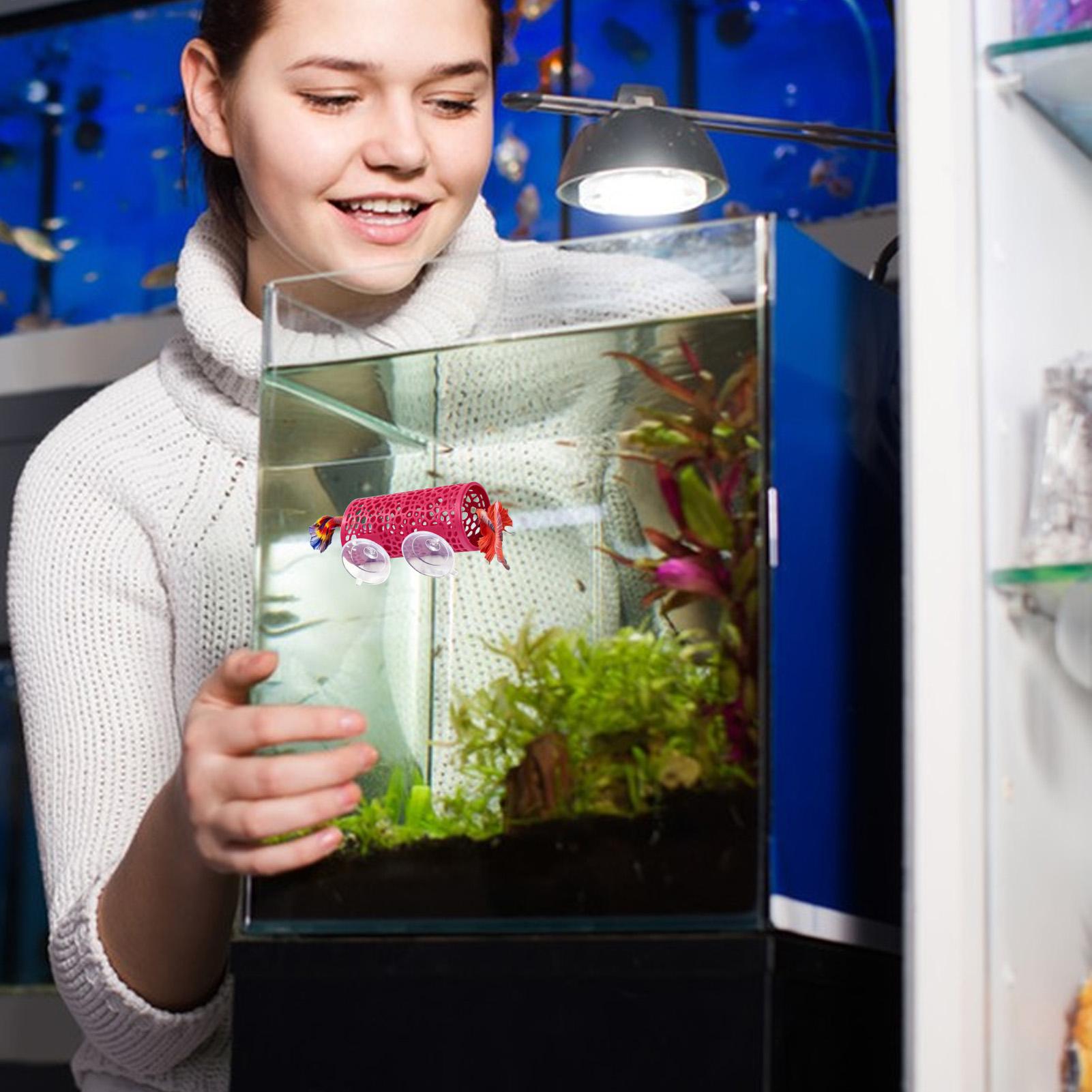 Betta Habitat Resting Shelter  - Aquarium Fish Real 评论和价格
