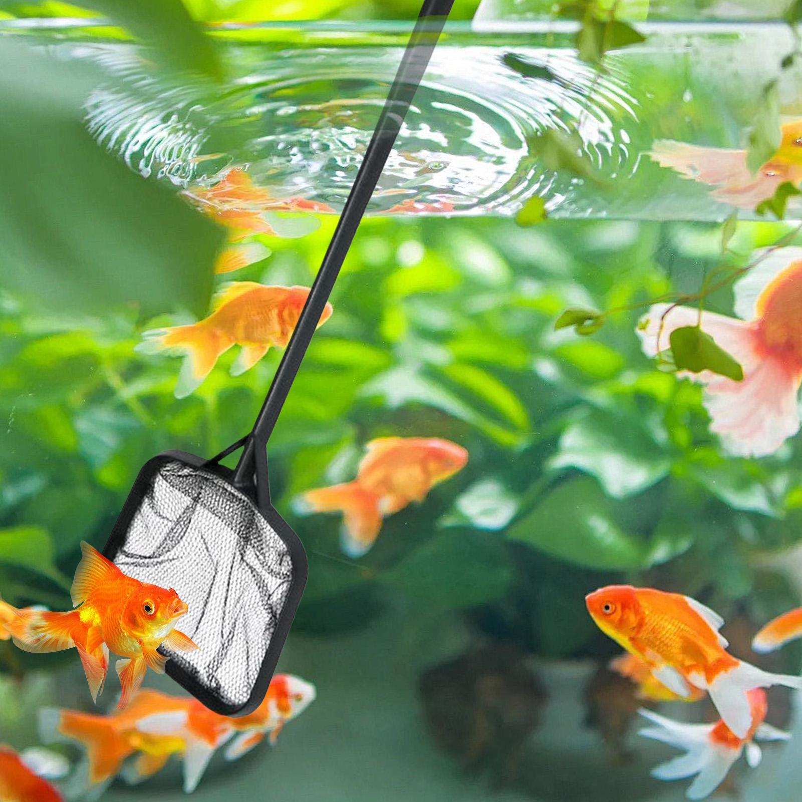 Pool Nets for Cleaning Portabl - Aquarium Fish Real 评论和价格