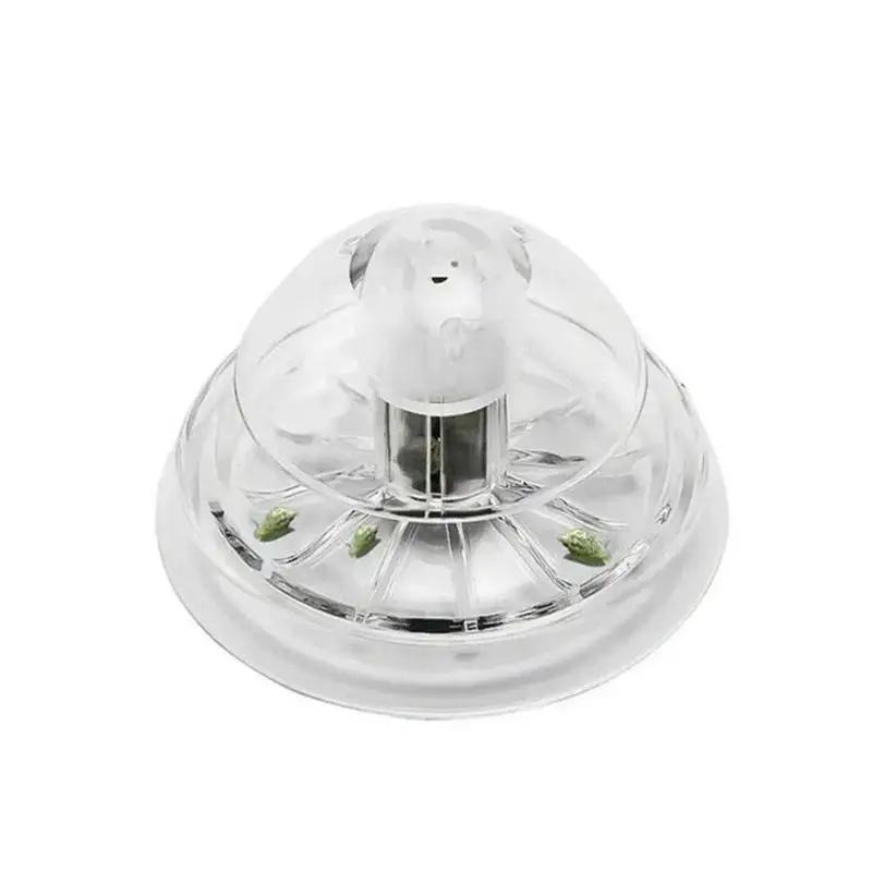 2026 New 6/8CM Clear Plastic S - Aquarium Fish Real 评论和价格