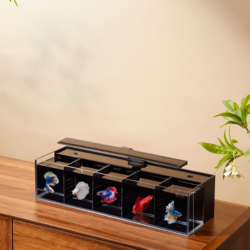 Douyu aquarium multi-grid comb - Aquarium Fish Beautiful 评论和价格