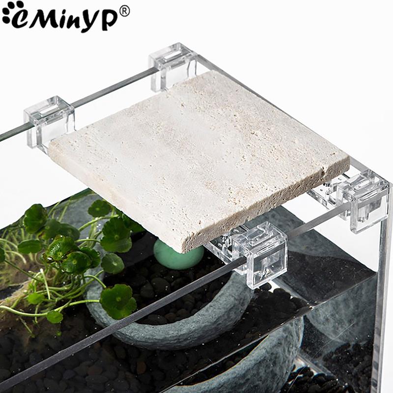 4Pcs Fish Tank Acrylic Clips f - Aquarium Fish Real 评论和价格