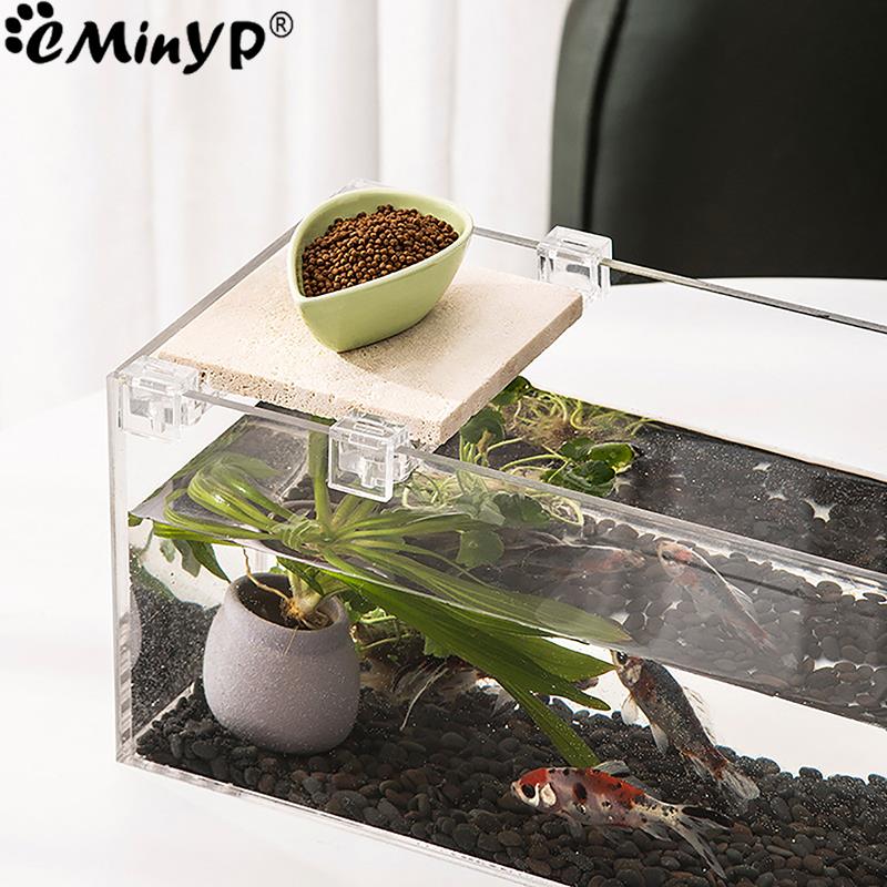 4Pcs Fish Tank Acrylic Clips f - Aquarium Fish Real 评论和价格