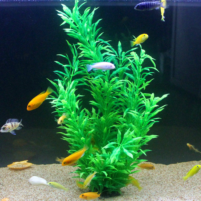 50CM Artificial Fish Tank Rare - Aquarium Fish Real 评论和价格