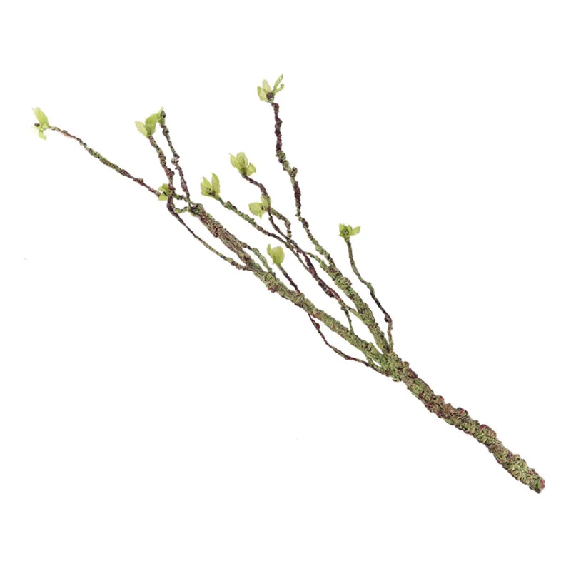 Vines Decor Climbing Branches  - Aquarium Fish Real 评论和价格